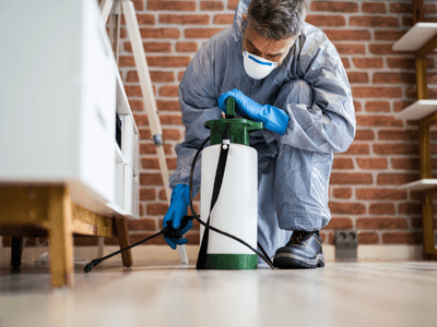 About Pest Control Charleston - pest control experts in Charleston